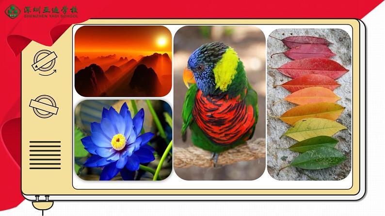 小学美术 岭南版 五年级下册 第10课《变幻的色彩》  课件07