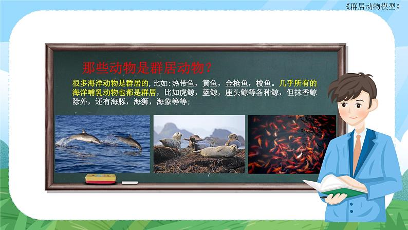 小学美术 岭南版 五年级《群居动物模型》PPT 课件第8页