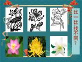 人教版小學(xué)美術(shù)五年級(jí)上冊(cè)《美麗的紋樣》課件+配套教案+教學(xué)反思+導(dǎo)學(xué)單+配套微課
