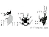 發(fā)現(xiàn)美麗_課件1