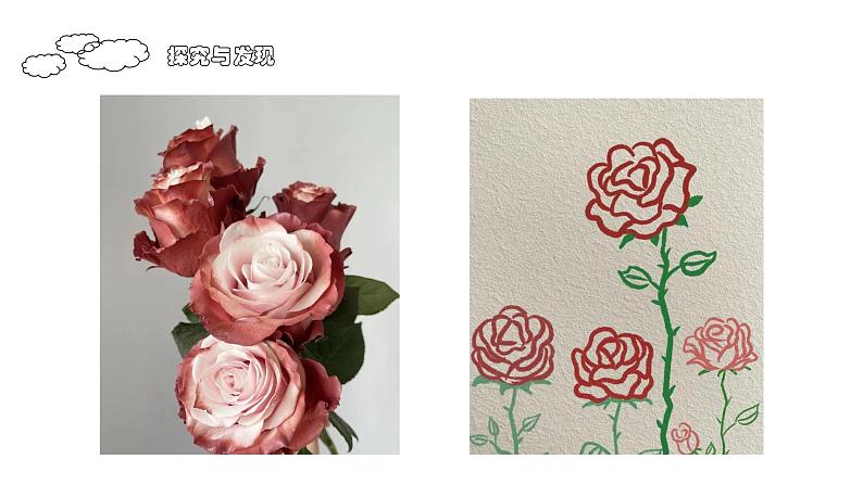 美丽的纹样 课件第3页