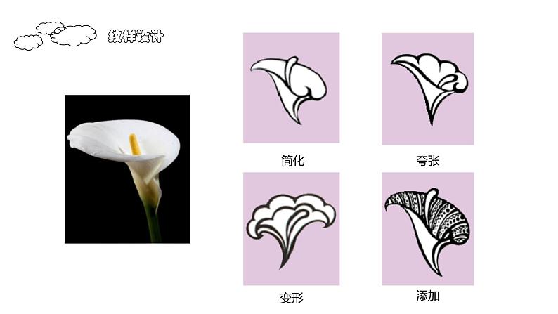 美丽的纹样 课件第5页