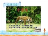 二年级美术下册课件-3. 小老虎3-湘美版(共12张PPT)