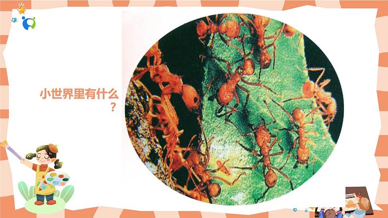 岭南版1上美术第1课《美妙的小世界》课件02