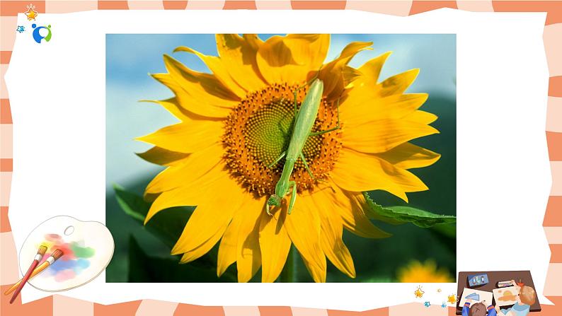 岭南版1上美术第1课《美妙的小世界》课件04