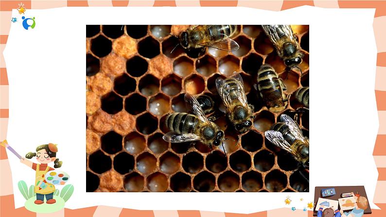 岭南版1上美术第1课《美妙的小世界》课件05