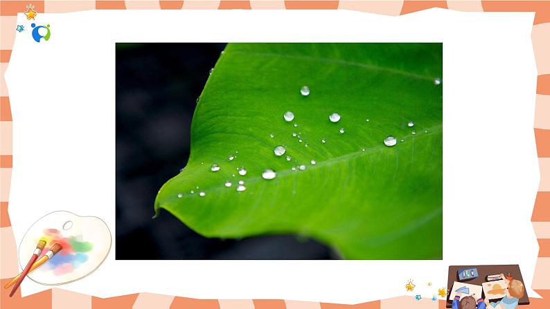 岭南版1上美术第1课《美妙的小世界》课件07