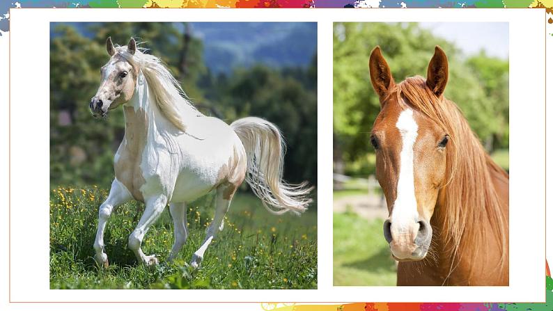 小学美术 二年级上册 第十五课《我和马儿在一起》课件PPT+教案03