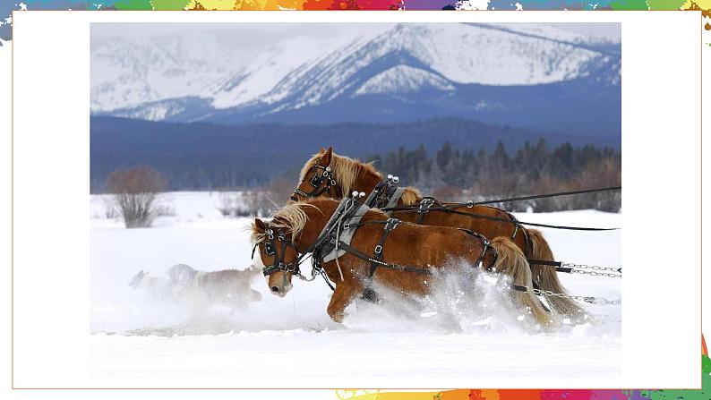 小学美术 二年级上册 第十五课《我和马儿在一起》课件PPT+教案04