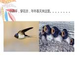 嶺南版1下美術(shù)第5課《快樂的小鳥》課件+教案