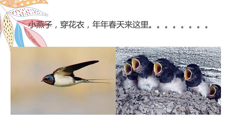 岭南版1下美术第5课《快乐的小鸟》课件+教案02
