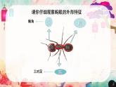 人美版（北京）一年级美术上册 教学课件_第10课  勤劳的小蚂蚁 课件4