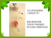 小学美术 岭南版 六年级下册 《会跳舞的小鸟》课件