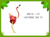 小学美术 岭南版 六年级下册 《会跳舞的小鸟》课件