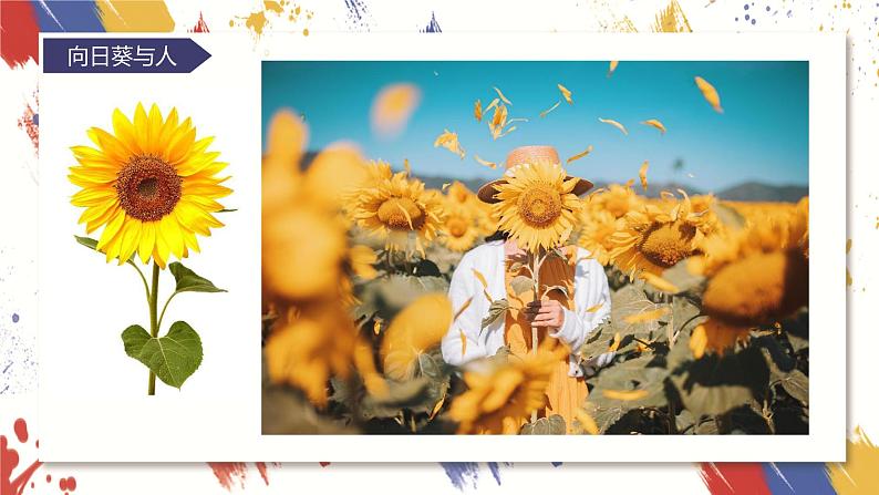 小学美术 三年级上册 第四课《前前后后》课件PPT+教案04