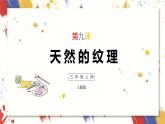 小学美术 三年级上册 第九课《天然的纹理》课件PPT+教案