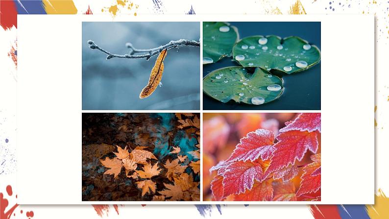 小学美术 三年级上册 第九课《天然的纹理》课件PPT+教案03