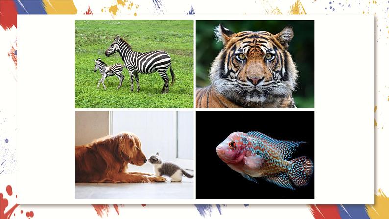 小学美术 三年级上册 第九课《天然的纹理》课件PPT+教案05