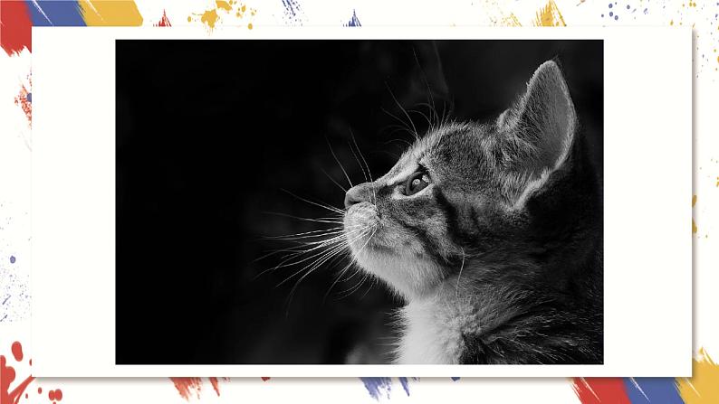 小学美术 三年级上册 第六课《黑与白》课件PPT+教案03