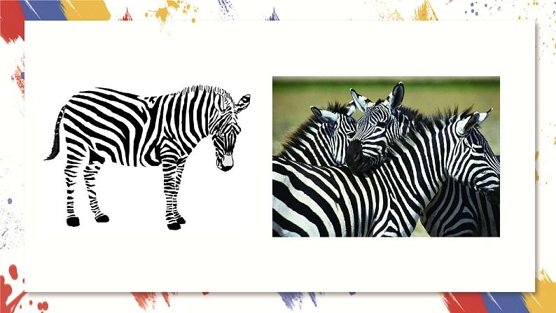 小学美术 三年级上册 第六课《黑与白》课件PPT+教案04