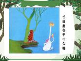 動(dòng)物的花衣裳 課件