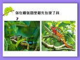 人教版第1課-色彩的對(duì)比PPT課件