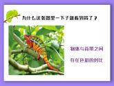 人教版第1課-色彩的對(duì)比PPT課件