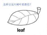 二年級下冊 課件 8葉子上的小“血管”小學美術(shù)人教
