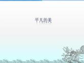 四年級下冊 課件 《第12課 平凡的美》 小學(xué)美術(shù)人教