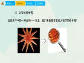 五年級(jí)下冊(cè) 課件 14《微觀世界》 小學(xué)美術(shù)人教