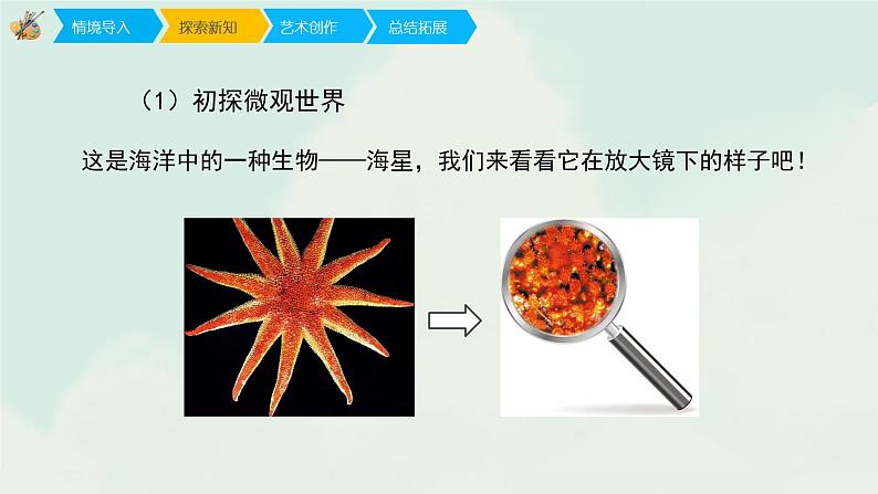 五年级下册 课件 14《微观世界》 小学美术人教第4页