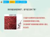 五年級(jí)下冊(cè) 課件 14《微觀世界》 小學(xué)美術(shù)人教