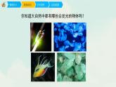 五年级下册 课件 15《会亮的玩具》 小学美术人教