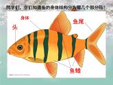 湖南美术出版社小学美术一年级下册 14. 剪对称鱼形(2) 课件