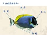 湖南美术出版社小学美术一年级下册 14. 剪对称鱼形(3) 课件