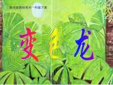湖南美术出版社小学美术一年级下册 16. 变色龙 课件