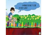 湖南美术出版社小学美术一年级下册 17. 地下王国(3) 课件