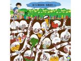 湖南美术出版社小学美术一年级下册 17. 地下王国(3) 课件