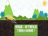 湖南美术出版社小学美术一年级下册 17. 地下王国(4) 课件