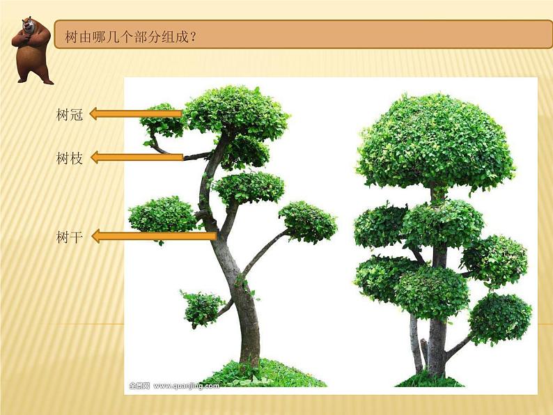 湖南美术出版社小学美术一年级下册 21. 小树快快长(2) 课件01