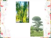 湖南美术出版社小学美术一年级下册 21. 小树快快长 课件