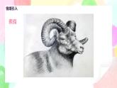 人教版美術(shù)五下10.《寫意動物》課件+教學(xué)設(shè)計