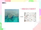 人教版美術(shù)五下14.《微觀世界》課件+教學(xué)設(shè)計(jì)