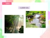 人教版1下美術(shù)《走進(jìn)大自然》課件+教案
