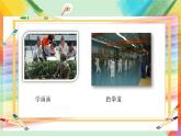 人美版4下美術(shù)2《放學(xué)了》課件PPT+教案