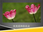 一年級下冊 課件 6. 摸一摸_畫一畫 小學(xué)美術(shù)人教