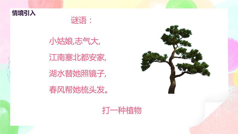 人美版美术二下3.《认识身边的树》课件+教学设计04