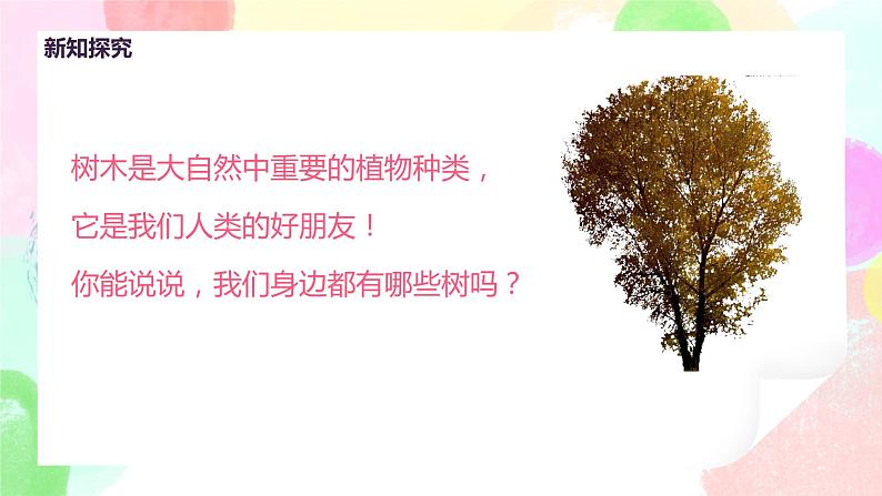 人美版美术二下3.《认识身边的树》课件+教学设计06