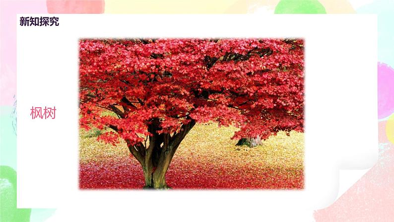 人美版美术二下3.《认识身边的树》课件+教学设计08