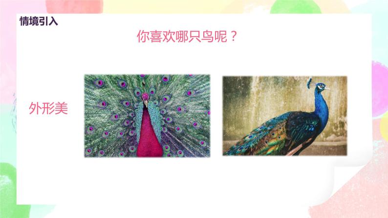 人美版美术二下19.《我喜欢的鸟》课件+教学设计06